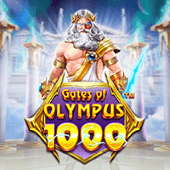 Cổng Olympus 1000 H10