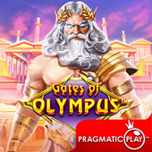 Cổng Olympus H10